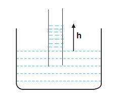 A capillary tube of radius r is immersed in water and water rises in it to a height h. The mass of water in the capillary tube is 4g. Another capillary tube of radius 2r is immersed in water. The mass of water that will rise in this tube is: